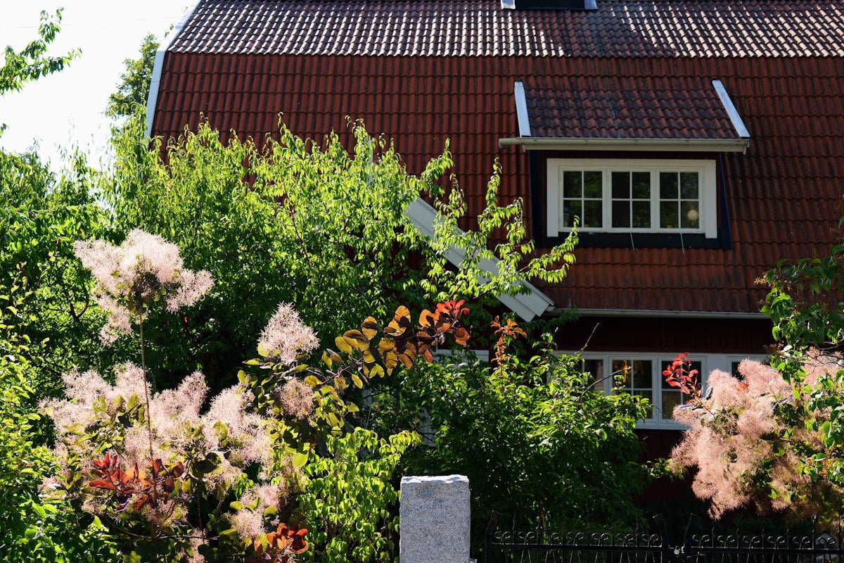 Maud: Exploring the Might and Refinement of This Noble Scandinavian Offering - Oli Prik Copenhagen