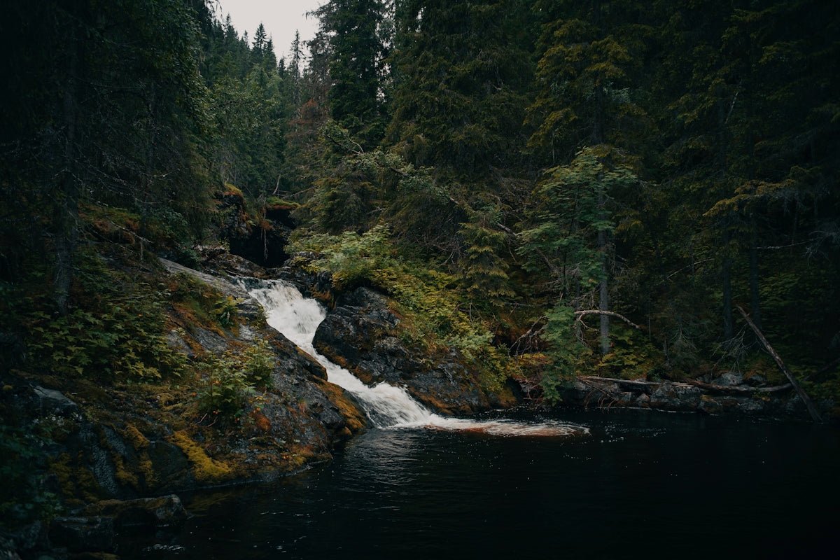 Nikolai: Bridging Nordic Grace and Global Adventure - Oli Prik Copenhagen